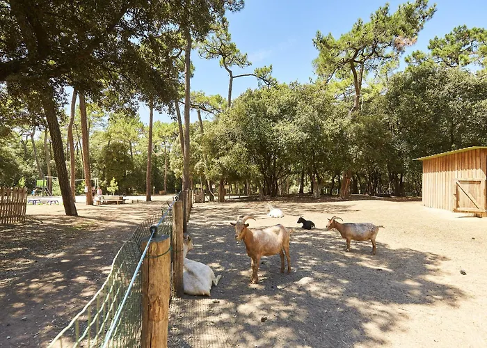 400m De La - Grande Maison Pour 10 Avec Jardin