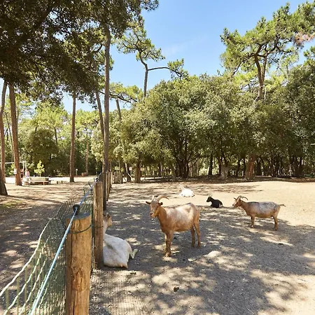 400m De La - Grande Maison Pour 10 Avec Jardin